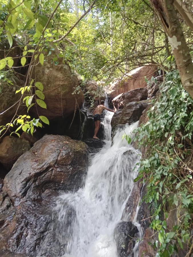 Jungle Village Homestay Pinnawala  Exterior foto